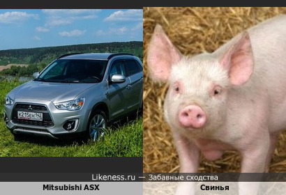 Mitsubishi ASX похож на Свинью