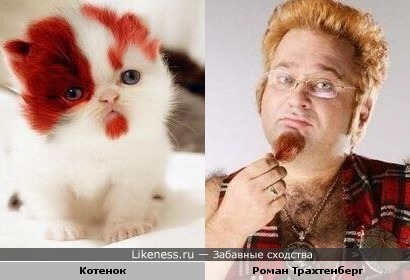http://img.likeness.ru/uploads/users/1/Cat_Trahtenberg.jpg