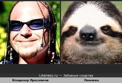 http://img.likeness.ru/uploads/users/1/Presnyakov_sloth.jpg