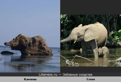 Камень похож на слона