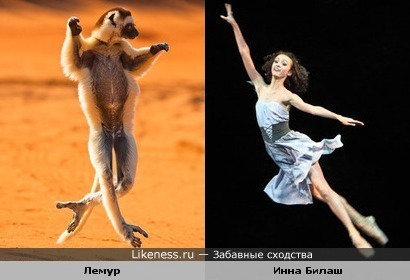 Антраша