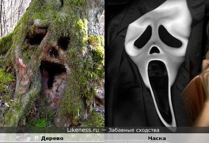 Дерево похоже на маску из фильма "Крик"