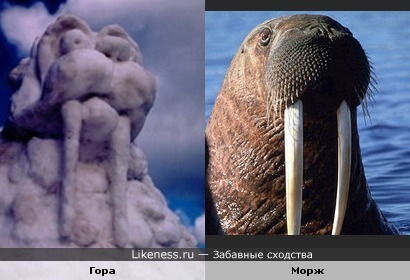Гора похожа на моржа