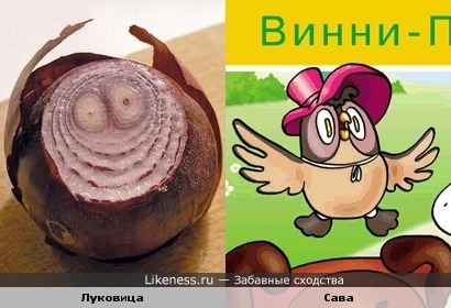 Показалось, что луковица похожа на Саву