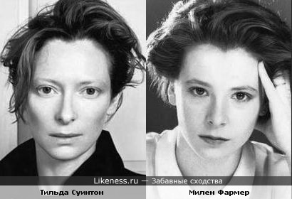 Тильда правила жизни Тильда правила жизни