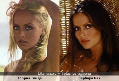 глория гвида фотографии глория гвида фотографии
