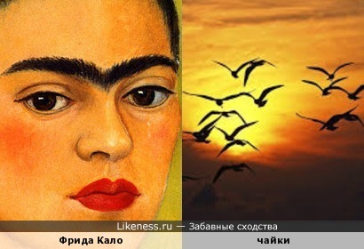 Фрида почему такие брови Фрида почему такие брови