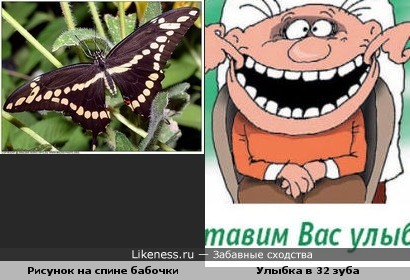 Улыбнитесь! Или о чем говорят бабочки...