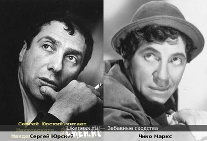Сергей Юрский похож на Чико Маркса