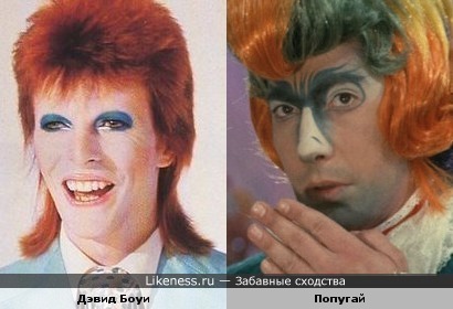 Дэвид Боуи похож на попугая из мюзикла "Мама"