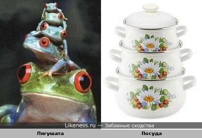 Лягушата и посуда