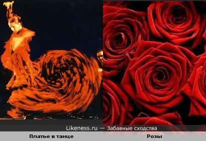 Платье в танце похоже на розу