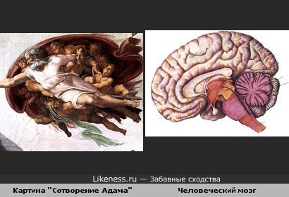 Фрагмент картины "Сотворение Адама