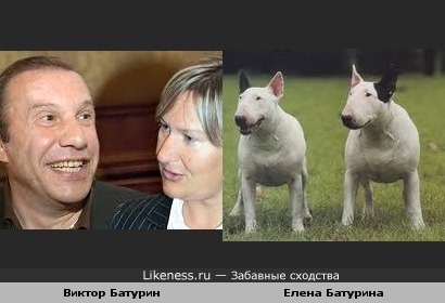 Две парочки