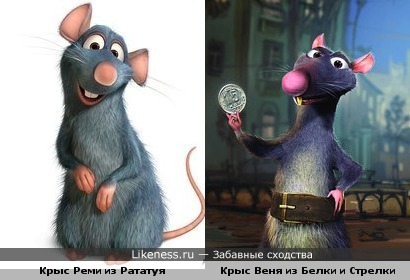 Крыс Веня из Белки и Стрелки сильно смахивает на крыса Реми из Рататуя