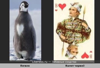Пингви червей