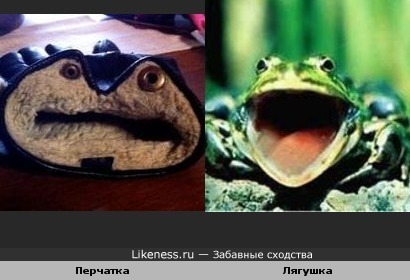 Споём дуэтом?