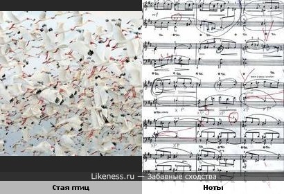 Музыкальные птички