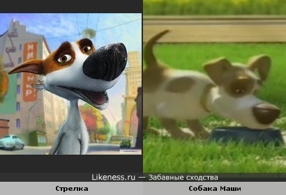 Стрелка в ролях