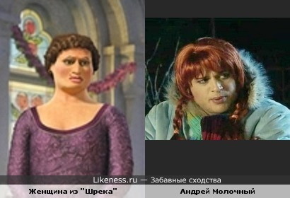 Женщина из "Шрека" похожа на Андрея Молочного