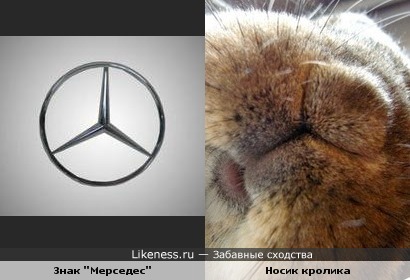 Знак "Мерседес" похож на носик кролика