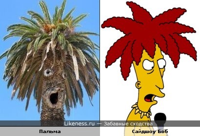 Пальма и Сайдшоу Боб
