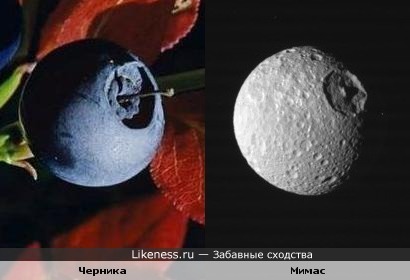 Черника и один из спутников Сатурна похожи