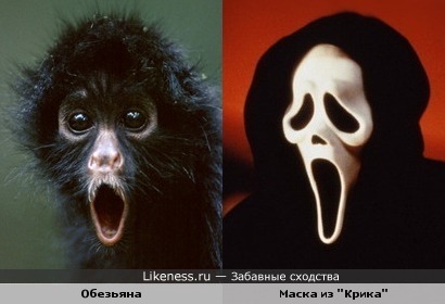 Крик обезьяны