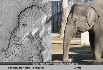 Слон на Марсе