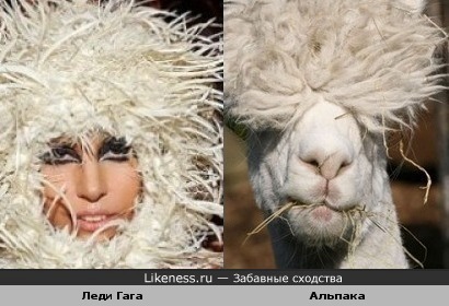 http://img.likeness.ru/uploads/users/1779/Ledy_Gaga.jpg
