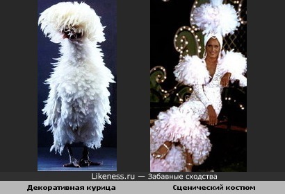 http://img.likeness.ru/uploads/users/1779/chiken_dress.jpg