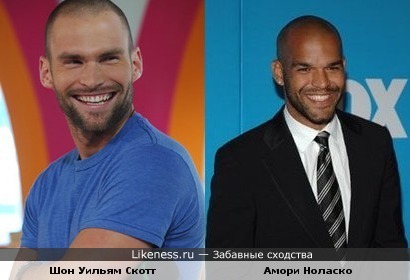 Шон Уильям Скотт похож на Амори Ноласко