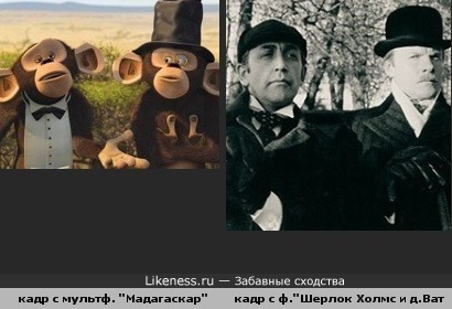 кадр с мультф. "Мадагаскар