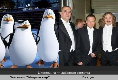 Как пингвины