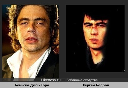 Бенисио Дель Торо похож на Сергея Бодрова