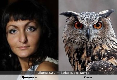 Девушка похожа на сову