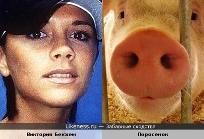 Виктория Бекхем и Поросенок