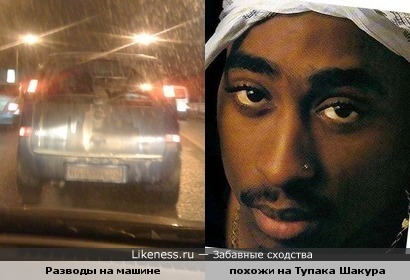 грязь похожа на Тупака