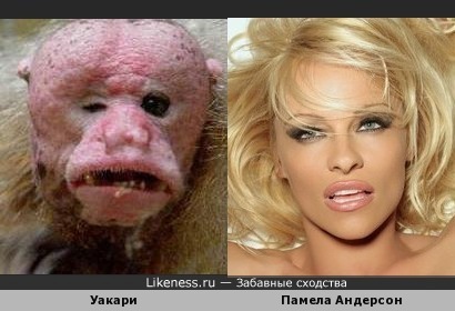 Стих она проснулась Стих она проснулась