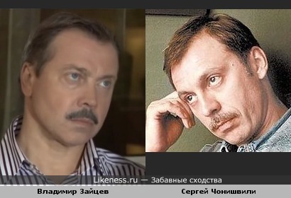 Владимир Зайцев и Сергей Чонишвили похожи