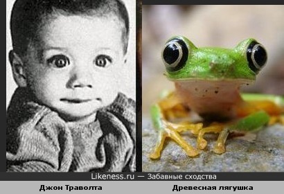 Младенец Джон Траволта похож на лягушонка