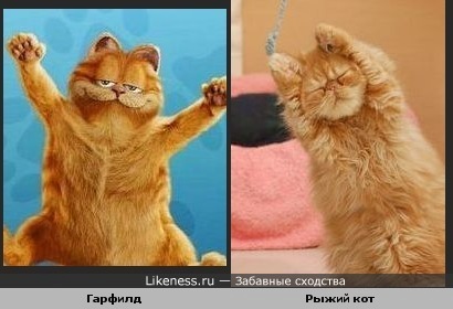 Просто хороши!)))
