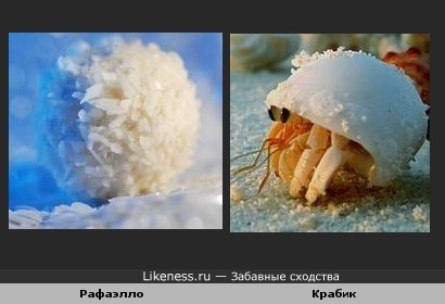Крабик похож на рафаэлку :)