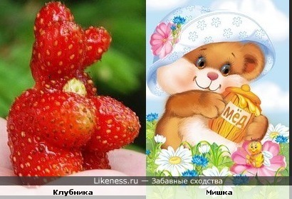 Мишки очень любят мед