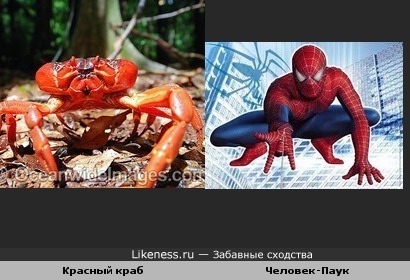 Человек-краб