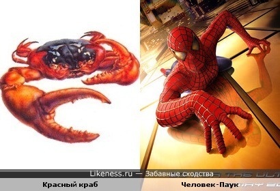Красный краб vs Человек-Паук