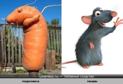 Давай замутим Рататуй!