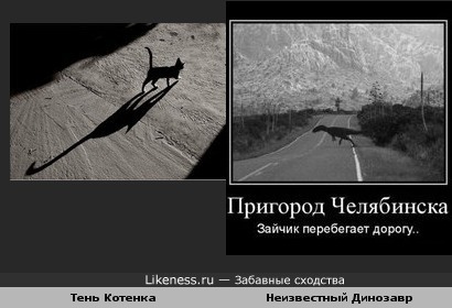 Сами просили динозаврика показать