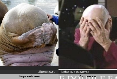 Двойной Фейспалм - это значит Стыд и Срам!
