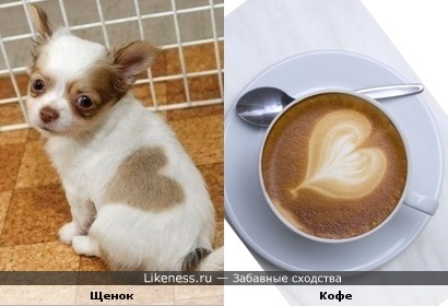 Любовь и Позитив спасут Мир!